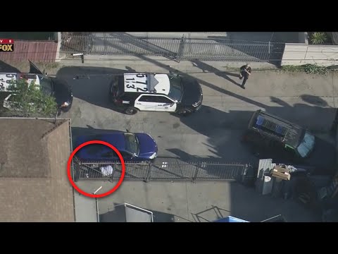 'Come on guys! He's right there!': Pursuit suspect tries to evade LAPD by laying next to vehicle