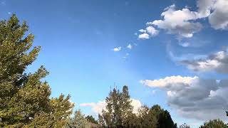 Getting Some Flesh Air