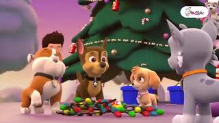 انیمیشن آموزش کودک دوزبانه و چندزبانه Paw Patrol