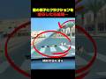 横断歩道を渡る猫の親子にクラクションを鳴らしたら…ｗ #猫動画 #猫の親子 #猫のいる暮らし #猫の反応 #動物動画