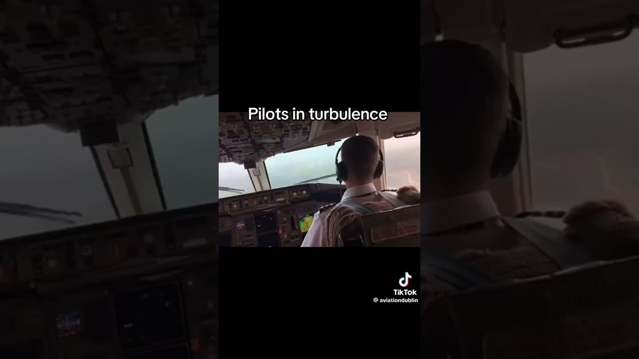 Passengers In Turbulence Versus Pilots Airplane Aviation Crosswind Turbulance