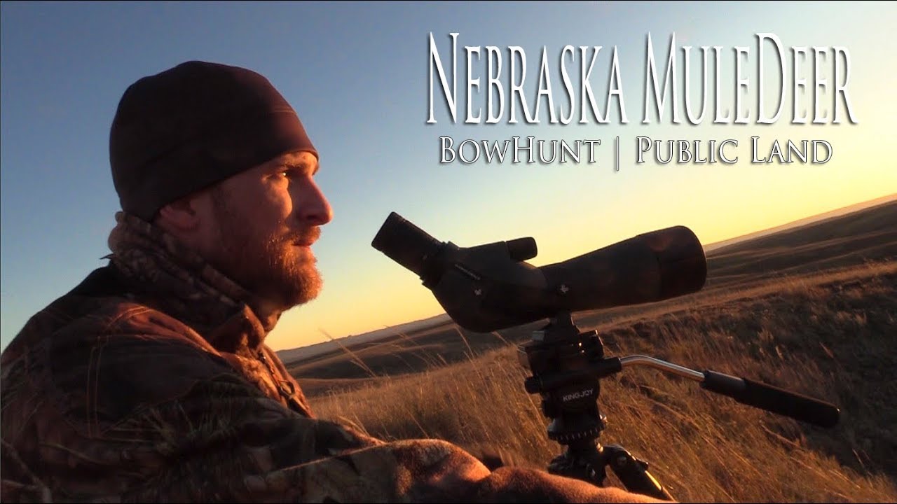 Nebraska Public Land Mule Deer Bow Hunt YouTube