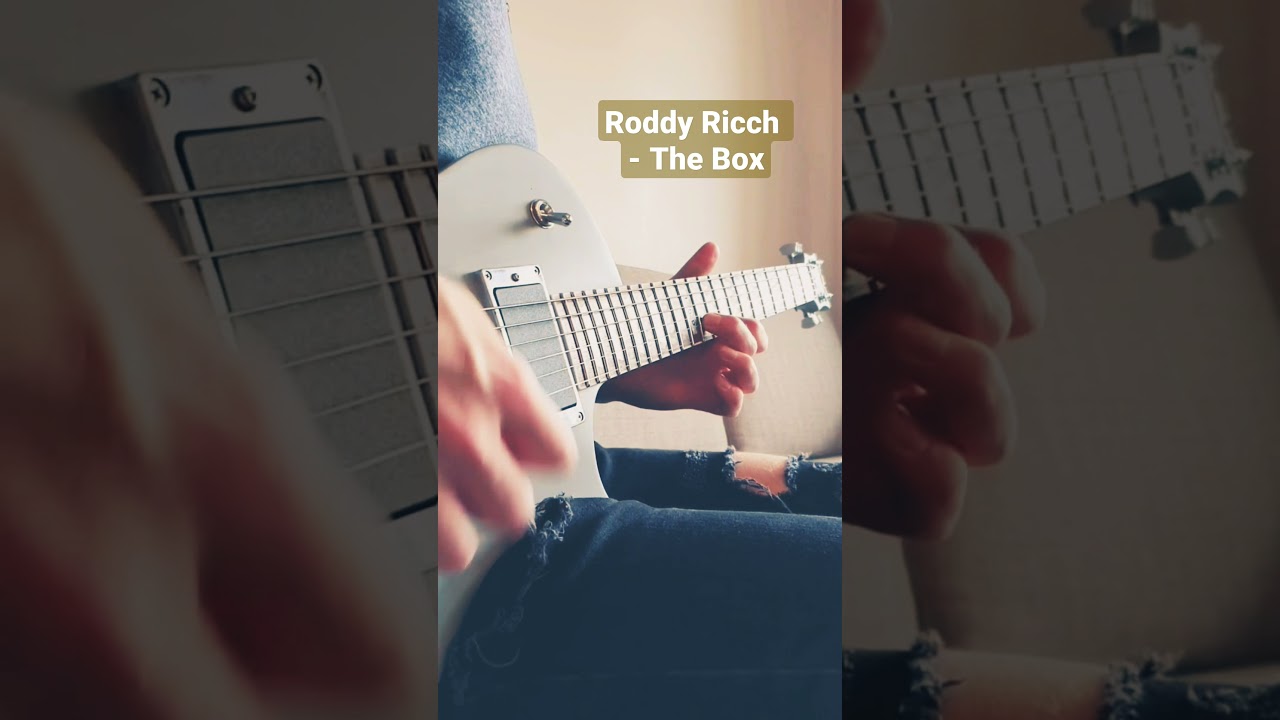 The Box - Guitar remix 🎸 