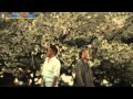 “夏の日の1993”classの秘蔵MV「桜」初公開