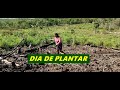 ROSA VERAS E SUAS PLANTAÇOES NA  ROÇA