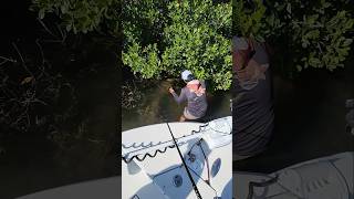 Chris Jumps Off Boat for Fish #fishingfail #tampabayfishing #fishingcharter