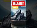 Salajeet ke Fayde in Urdu | Shilajit Benefits for Male Weakness | Shilajit ke Fayde kya hai