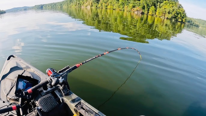 Big Catfish on a $30 Walmart Fishing Reel 