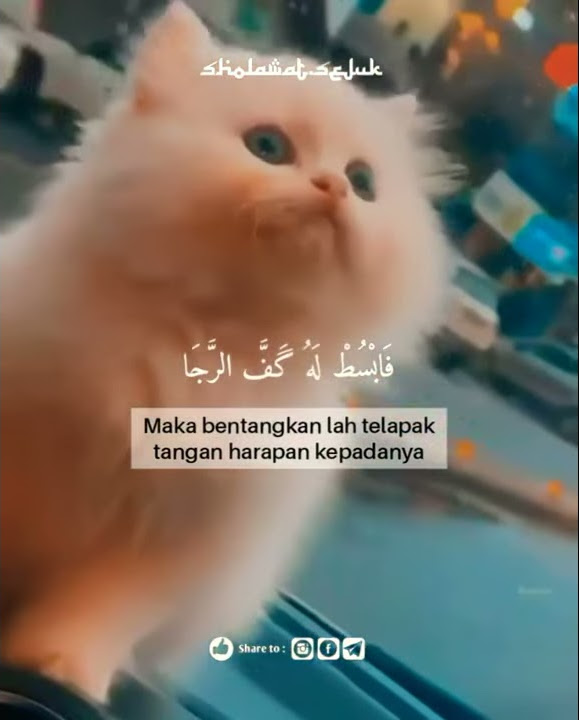 Sholawat Ainul Uyuni terbaru|viral|Story WA|