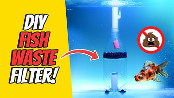 Create a GENIUS DIY Fish Waste Filter for Your Aquarium