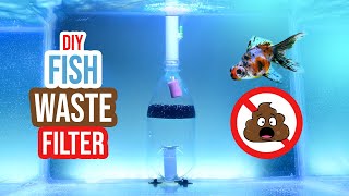 Say Goodbye to Fish Waste with This DIY Aquarium Filter