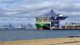 WORLDS 2 LARGEST CONTAINER VESSELS AT 23992 TEU SD 480p