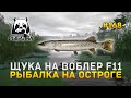 Щука на Воблер F11. Рыбалка на Остроге - Русская Рыбалка 4 #168