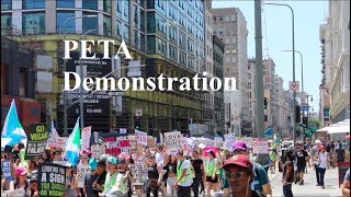 Vegan March 2019