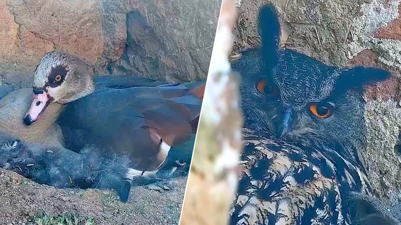 05.–06.03.2026: Ein seltener Waffenstillstand