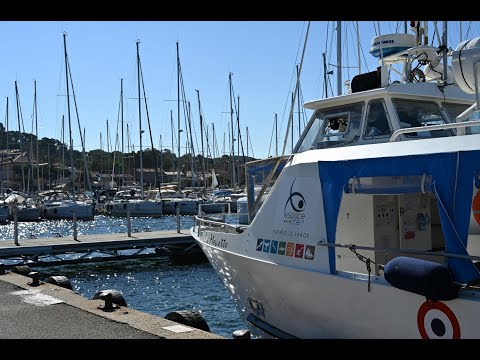 Cap sur Porquerolles / Une balade commentée au départ du Port de Hyères et après-midi sur l'île