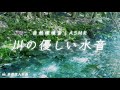 【睡眠用bgm】とろける優しい水音、綺麗な川のせせらぎに癒される1時間【自然環境音｜みたらい渓谷/奈良】