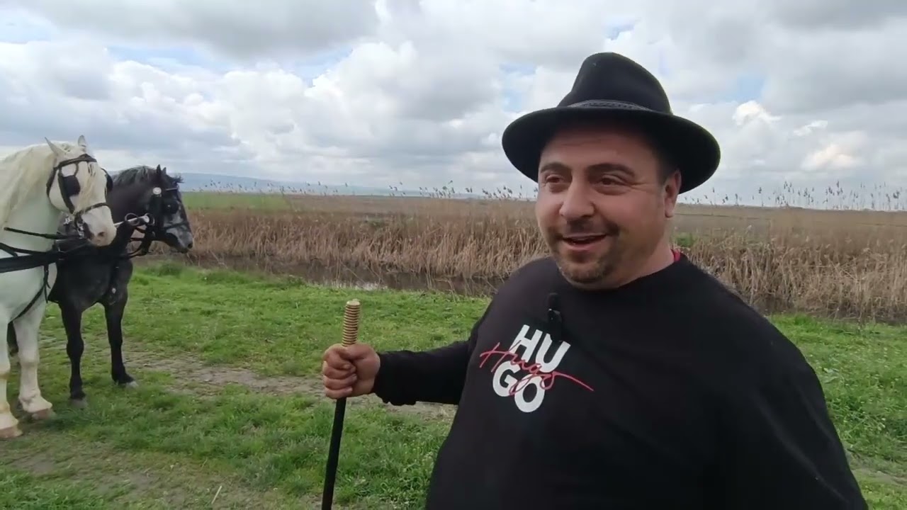 LIPICANERI - MILORAD - VOLEM KONJE I ARMONIKU