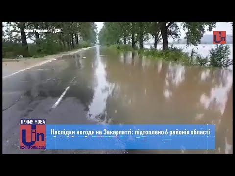 Наслідки негоди на Закарпатті: підтоплено 6 районів області