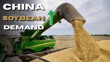 "Yield Expectations, China Demand, and Basis Volatility" - Weekly Market Outlook: Dec 8 to Dec 12