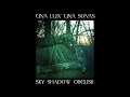 Colony Collapse - Sky Shadow Obelisk - Una Lux Una Sonas (2011)