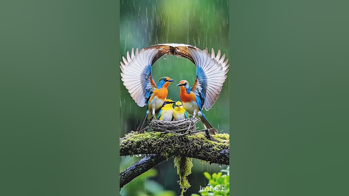 #love #hindi song #song #mother love song #rakshabandhan #youtube #sort#tranding #viralshort