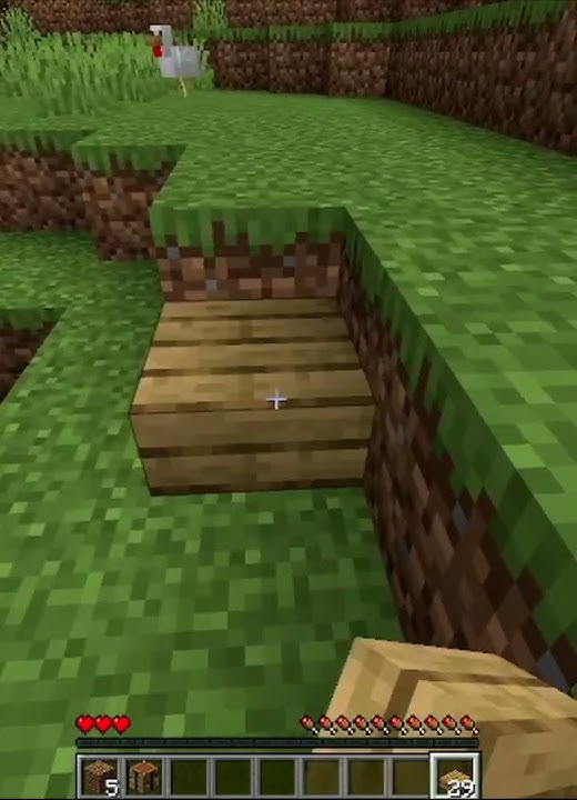 Minecraft, Ali Ako Skocim GUBIM SRCE! #shorts #challenge #jump