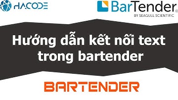 HƯỚNG DẪN kết nối các "Text" trong Bartender