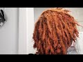 Dying My locs | Garnier Nutrisse Ultra Color Box Dye | Kiss tint Semi-Permanent Rinse