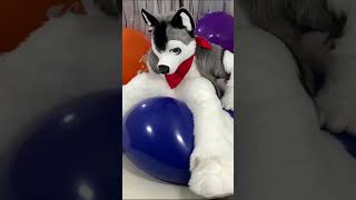 Testing New 47 Balloon