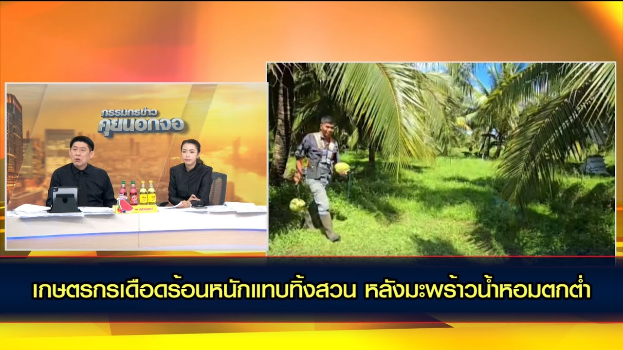 เกษตรกรเดือดร้อนหนักแทบทิ้งสวน หลังมะพร้าวน้ำหอมตกต่ำ