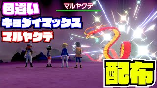 22 00 1時間半 ポケモン剣盾 色違い キョダイマックス マルヤクデ 配布 Nintendo Switch 27ch Youtube 22 00 1時間半 ポケモン剣盾 色違い キョダイマックス マルヤクデ 配布 Nintendo Switch 27ch Youtube