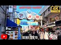 Walk Through Tokyo's Ueno Ameyoko Market and Discover What You're Missing...In 4K!