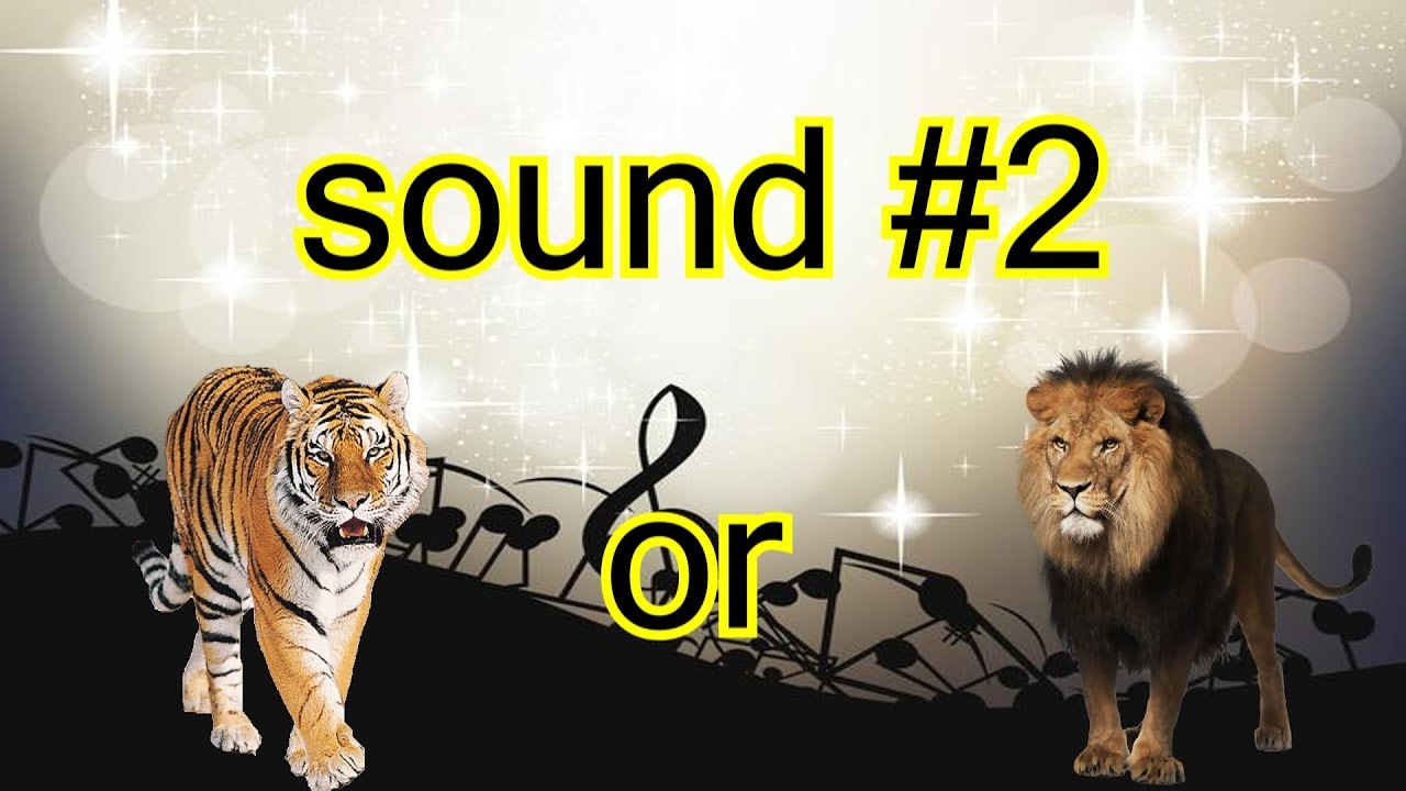 GUESS THE 5 DIFFICULT SOUNDS TEST! (VERY HARD) - YouTube
