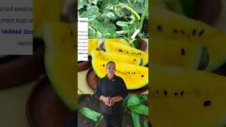 Semangka benar benar manfaat top top banget #buahbuahansegar #buah #fruit #makanbuah