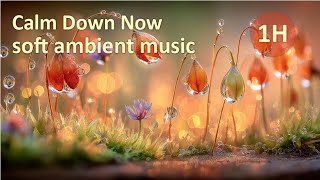 (No Ads) Calm Down Now | Macro Rain Garden + Soft Ambient Music (No Sudden Sounds) — 1 Hour screenshot 1
