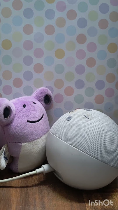 Am I pretty or ugly? watch this hilarious conversation between Alexa and frog #fun #funny #alexa