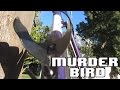 This Cycling Accessory Can KILL YOU? | PDW Bird Cage Review