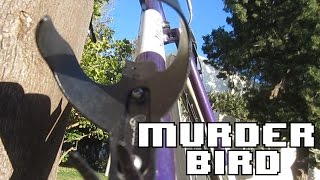 This Cycling Accessory Can KILL YOU? | PDW Bird Cage Review