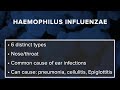 What is Haemophilus influenzae? Here are the symptoms to watch for