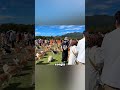 Le festival où les corgis testent leur amour !