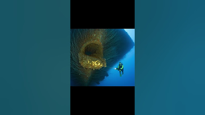 The ocean is terrifying. #horror #scary #thalassophobia
