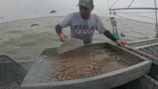 South Texas Shrimping #63 Tôm Nam Texas