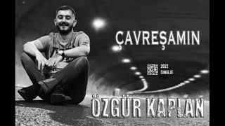 Özgür Kaplan -Çavreşamın 2022 Resimi