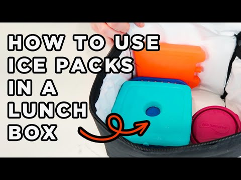 The Best Ice Packs for Lunch Boxes 2019