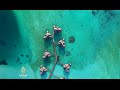Al Jazeera istražuje – Ukradeni raj