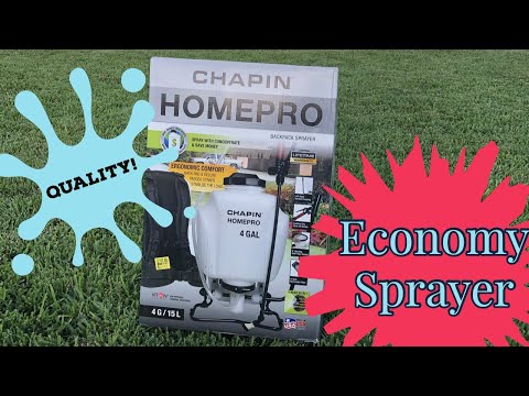 Economy Chapin | The HOMEPRO