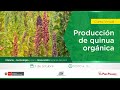 Producción de quinua orgánica