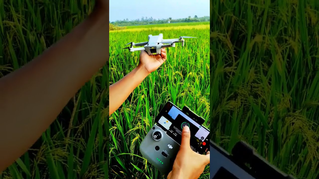 Dji Mini 3 Drone Flying Shorts Trending Djimini3pro