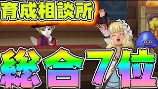 【#ドラクエタクト】戦闘力総合7位！初心者と無課金に優しい育成&編成相談、パーティー編成悩んでる方相談のります！ドラゴンクエストタクト